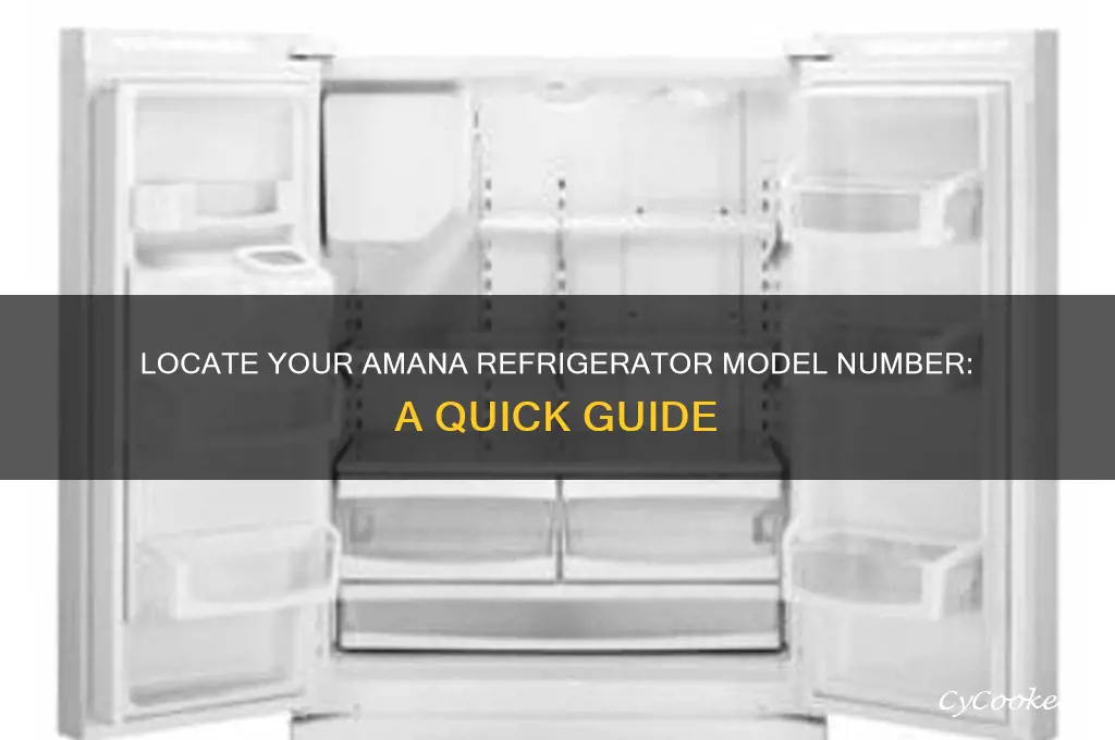 where can i find the model number on amana refrigerator