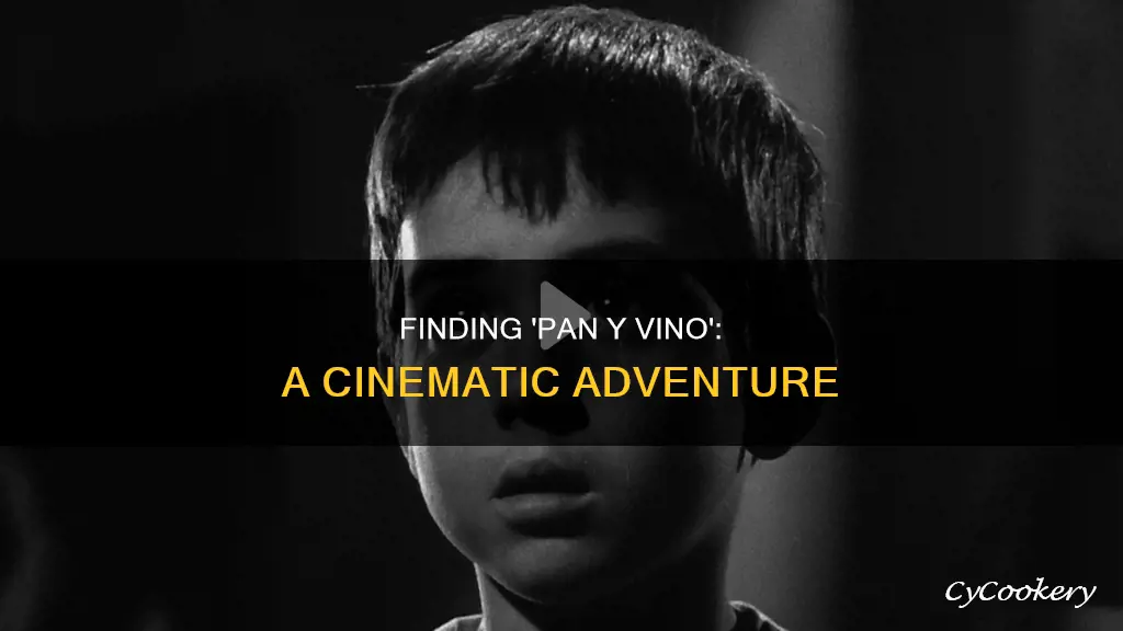 where can I find the movie pan y vino