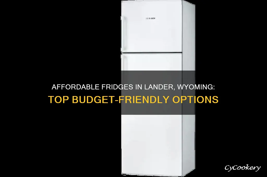 where can i get a cheap refrigerator ln lander wyoming