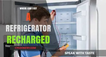 Where to Recharge Your Refrigerator: Local Repair Services Guide