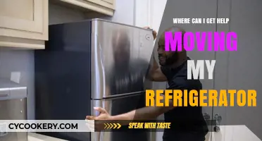 Need Help Moving Your Fridge? Find Reliable Assistance Here