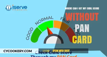 Get CIBIL Score Without a PAN Card