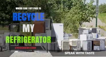 Earn Cash by Recycling Your Old Refrigerator: Top Options