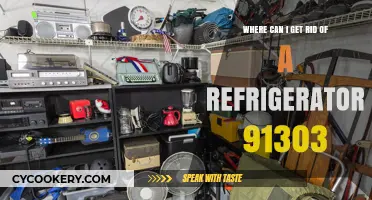 Eco-Friendly Refrigerator Disposal Options in Zip Code 91303