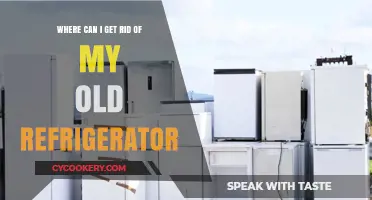 Eco-Friendly Options: Where to Dispose or Recycle Your Old Refrigerator