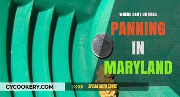 Gold Panning in Maryland: Best Locations to Try Your Luck