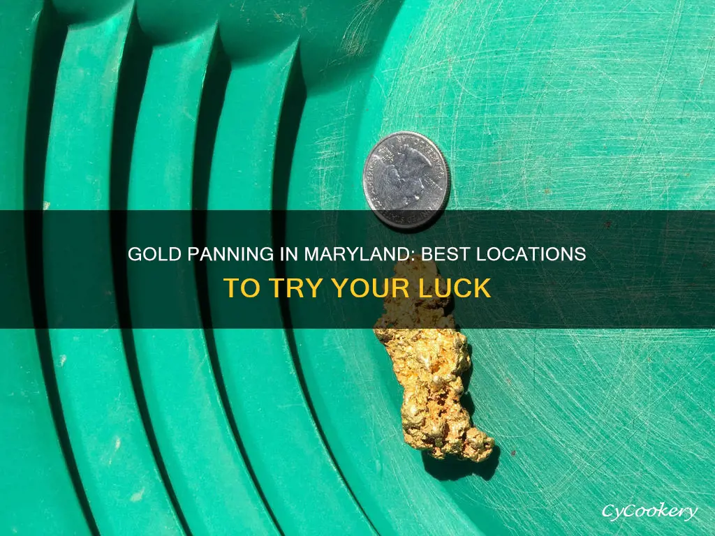 where can I go gold panning in maryland
