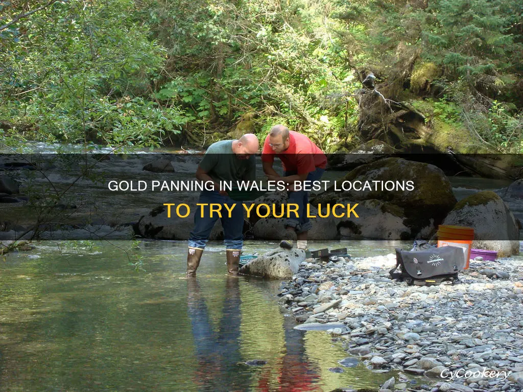 where can I go gold panning in wales