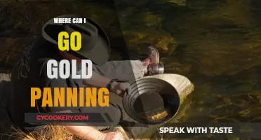 Best Gold Panning Destinations: Your Ultimate Guide