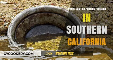 Best Southern California Sites for Gold Panning