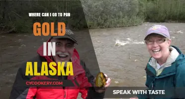 Panning for Gold in Alaska: Best Locations