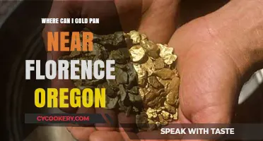 Gold Panning Near Florence, Oregon: Best Spots