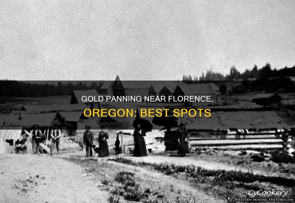 where can I gold pan near florence oregon