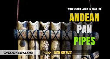 Mastering the Andean Pan Pipes: Best Learning Destinations
