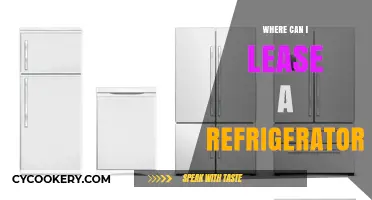 Top Places to Lease a Refrigerator: Your Ultimate Guide