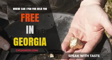 Panning for Gold in Georgia: Free Locations