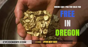 Panning for Gold in Oregon: Free Spots to Try