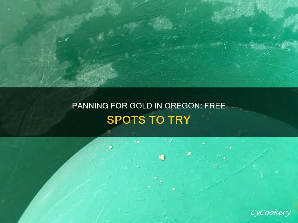 where can I pan for gold for free in Oregon