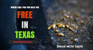 Panning for Gold in Texas: Free Spots to Try Your Luck