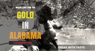 Panning for Gold in Alabama: Best Locations