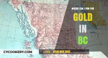 Panning for Gold in BC: Best Locations to Try Your Luck