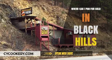 Panning for Gold in Black Hills: Best Spots