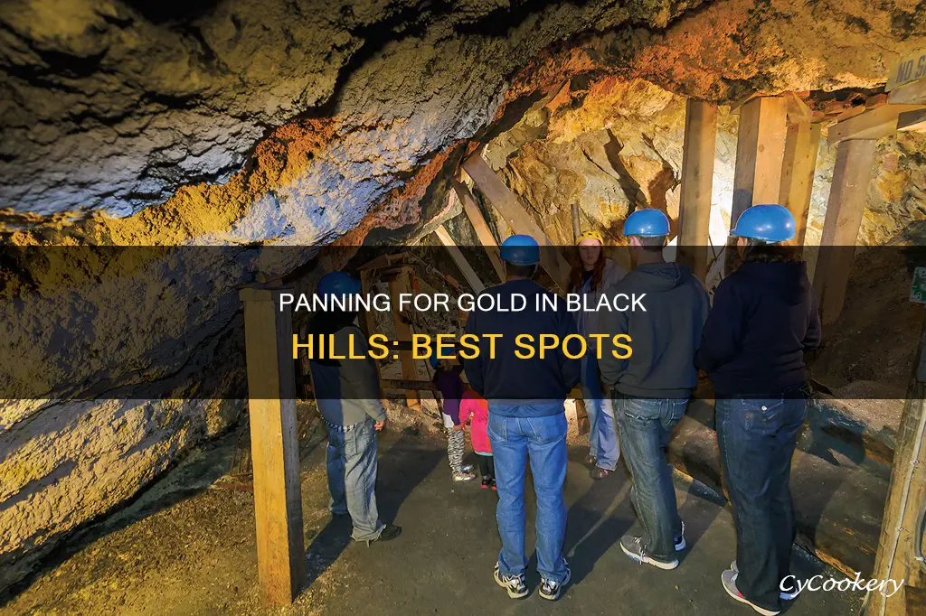 where can I pan for gold in black hills