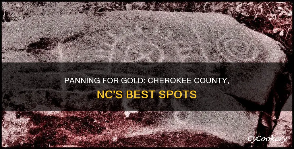 where can I pan for gold in cherokee county nc
