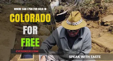 Best Free Gold Panning Sites in Colorado