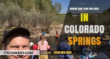 Panning for Gold in Colorado Springs: Best Spots