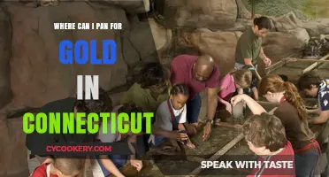 Panning for Gold in Connecticut: Best Locations