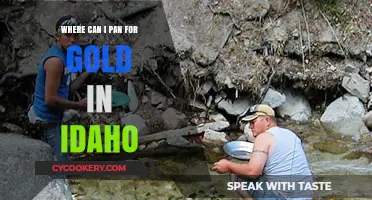 Idaho's Golden Hotspots: Best Panning Locations