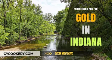 Panning for Gold in Indiana: Best Spots to Try