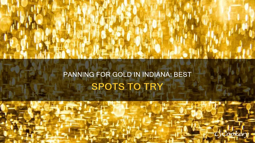 where can I pan for gold in Indiana