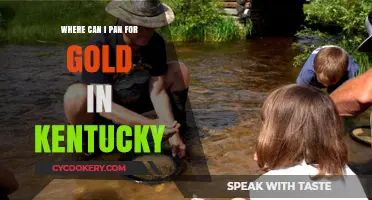 Panning for Gold in Kentucky: Best Places to Visit