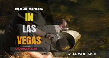 Panning for Gold in Las Vegas: Best Spots to Try