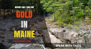 Panning for Gold in Maine: Best Locations