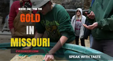 Panning for Gold in Missouri: Best Places to Visit