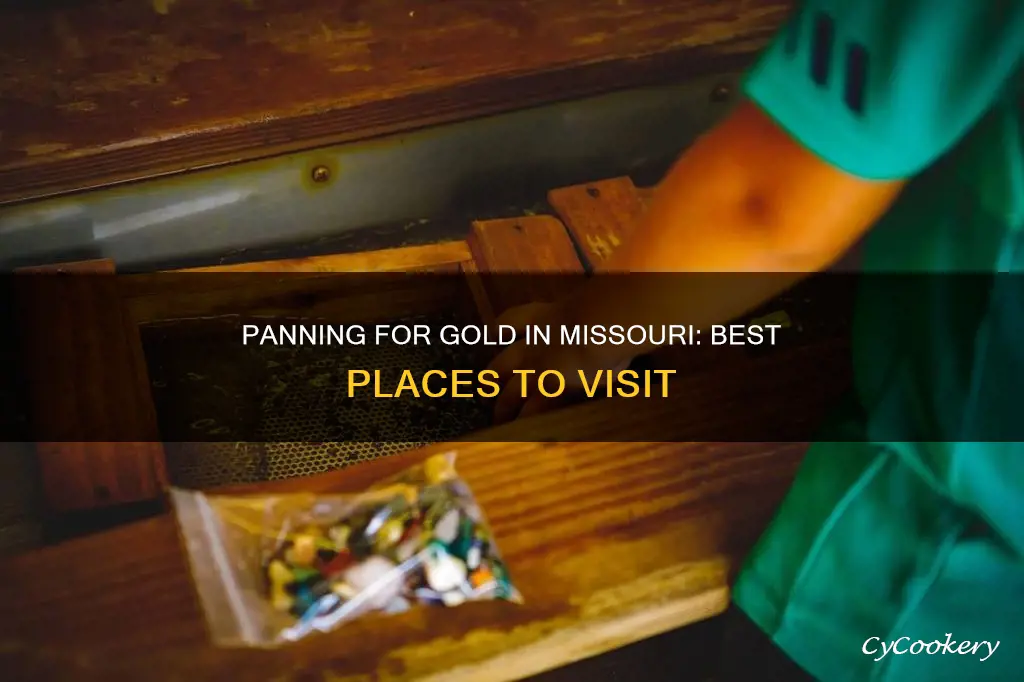 where can I pan for gold in Missouri