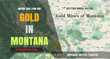 Montana Gold Panning: Best Locations to Try Your Luck
