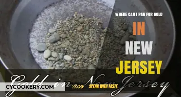 Panning for Gold in New Jersey: Best Spots