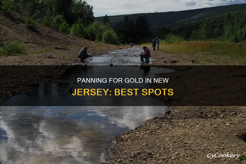 where can I pan for gold in new jersey