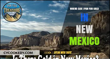 Best Places for Gold Panning in New Mexico
