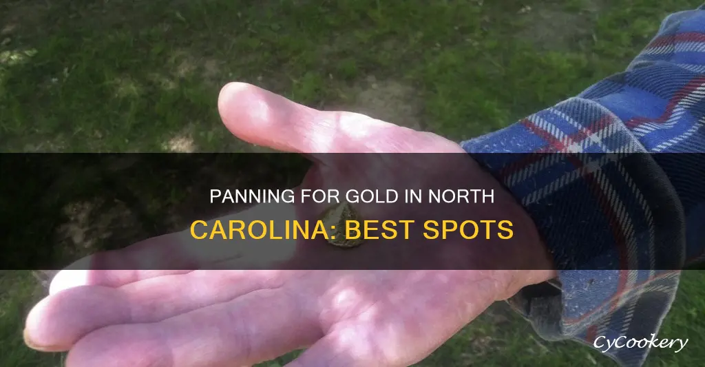 where can I pan for gold in North Carolina