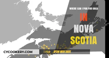 Panning for Gold in Nova Scotia: Best Locations