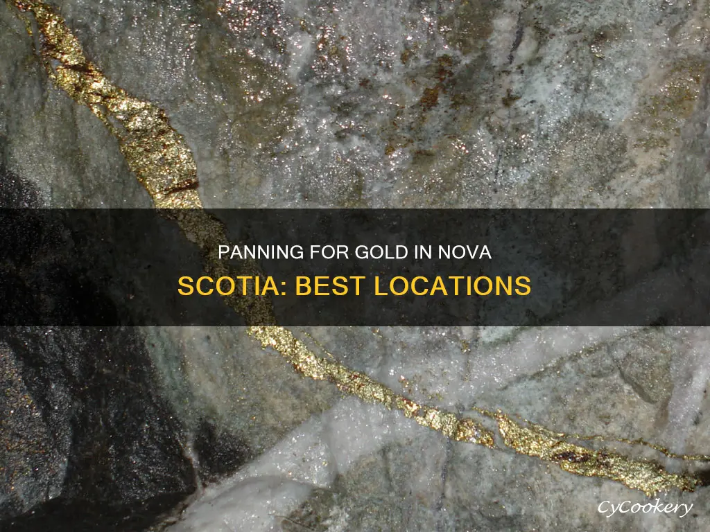 where can I pan for gold in nova scotia