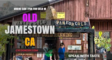 Panning for Gold in Jamestown, CA: Best Spots