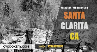 Panning for Gold in Santa Clarita: Best Spots to Try