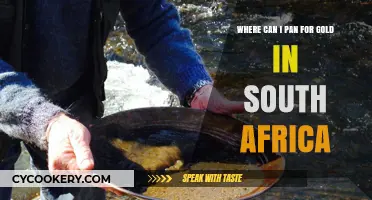 Panning for Gold in South Africa: Best Spots to Try