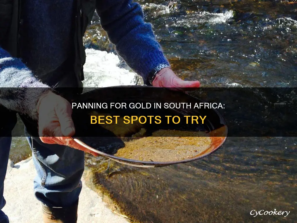 where can I pan for gold in south africa